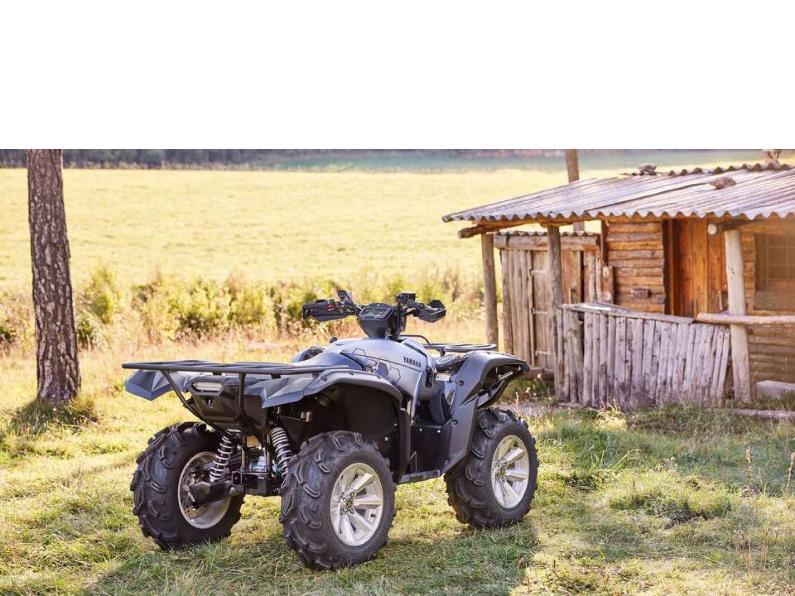 Мотовездеход ATV YAMAHA Grizzly 700 EPS SE 25 TH Anniversary (Low Gloss Black) 2024